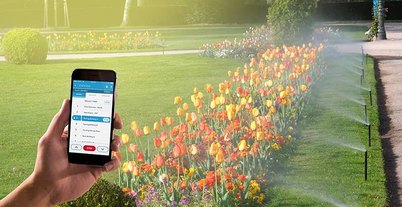 How RFID is Making Botanical Gardens Smarter and Greener